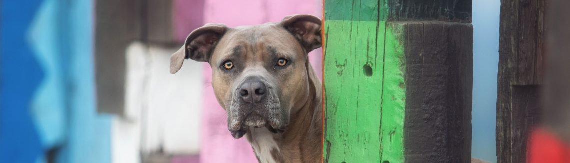 regelmäßige Gruppenkurse