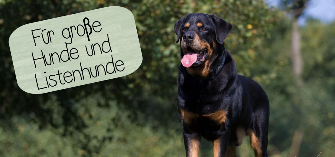 Sachkundenachweis - Sammeltermin